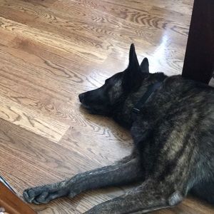 Meet your Posher, Danny